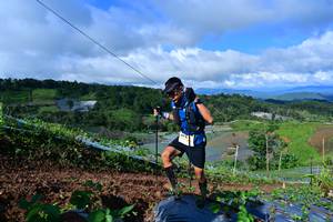 BIB: 8396
                            <button type="button" onclick="openModal(13379293)" class="btn btn-primary btn-sm float-right btn-popup" data-toggle="modal" data-target=".modal-high-quality">
                        <i class="fas fa-shopping-cart"></i> Add to Cart
                    </button>
                                            <button type="button" onclick="isThisMe(13379293, true)" class="btn btn-success btn-sm float-right btn-popup btn-isme hidden" data-toggle="tooltip" data-placement="bottom" title="นี่คือรูปของคุณใช่ไหม คลิกที่นี่เพื่อเอาเข้าอัลบั้ม">
                        <i class="fas fa-plus"></i> Add to album
                    </button>
                    <button type="button" onclick="isThisMe(13379293, false)" class="btn btn-warning btn-sm float-right btn-popup btn-isnotme hidden">
                        <i class="fas fa-ban"></i> Remove from album
                    </button>